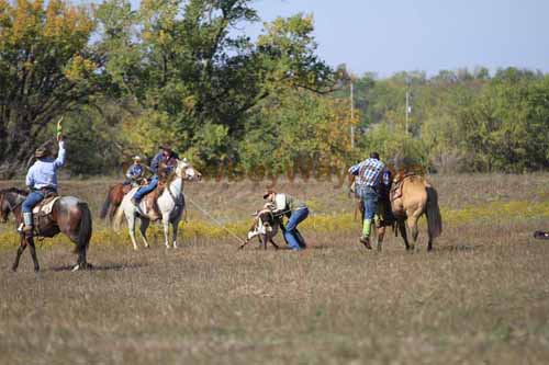 Chops Pasture Roping, 10-04-12 - Photo 11