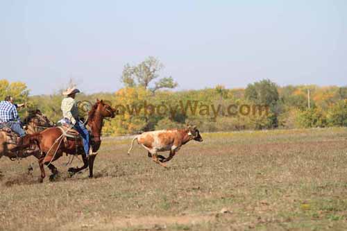 Chops Pasture Roping, 10-04-12 - Photo 12