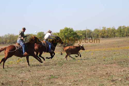 Chops Pasture Roping, 10-04-12 - Photo 14