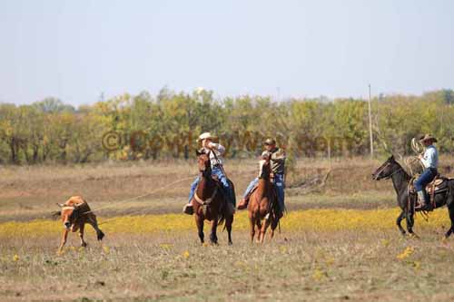 Chops Pasture Roping, 10-04-12 - Photo 15