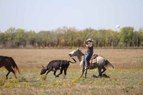 Chops Pasture Roping, 10-04-12 - Photo 19