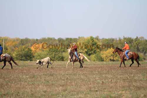 Chops Pasture Roping, 10-04-12 - Photo 21