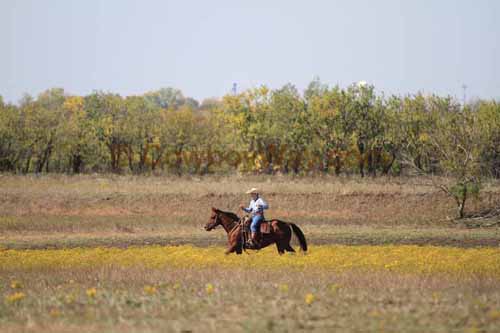 Chops Pasture Roping, 10-04-12 - Photo 22