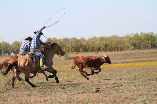 Chops Pasture Roping, 10-04-12 - Photo 23