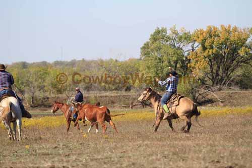 Chops Pasture Roping, 10-04-12 - Photo 24