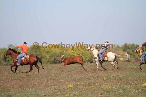 Chops Pasture Roping, 10-04-12 - Photo 26