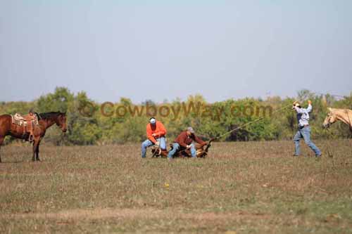 Chops Pasture Roping, 10-04-12 - Photo 27