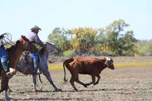 Chops Pasture Roping, 10-04-12 - Photo 41