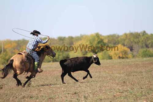 Chops Pasture Roping, 10-04-12 - Photo 42