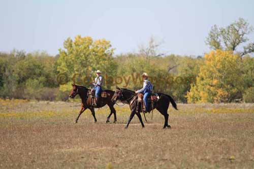 Chops Pasture Roping, 10-04-12 - Photo 43