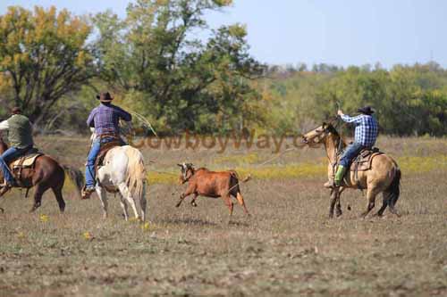 Chops Pasture Roping, 10-04-12 - Photo 44