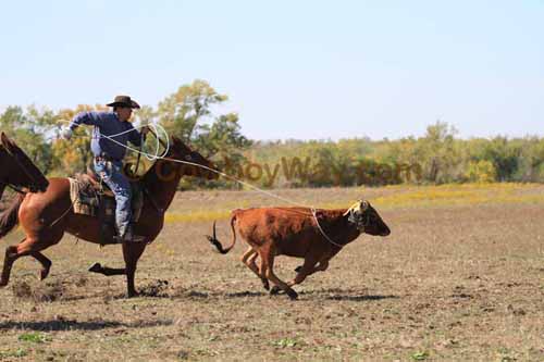 Chops Pasture Roping, 10-04-12 - Photo 47