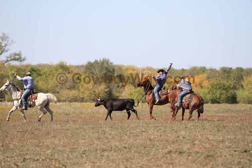 Chops Pasture Roping, 10-04-12 - Photo 50