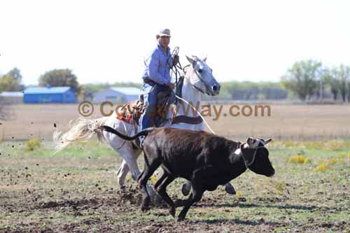 Chops Pasture Roping, 10-04-12 - Photo 51