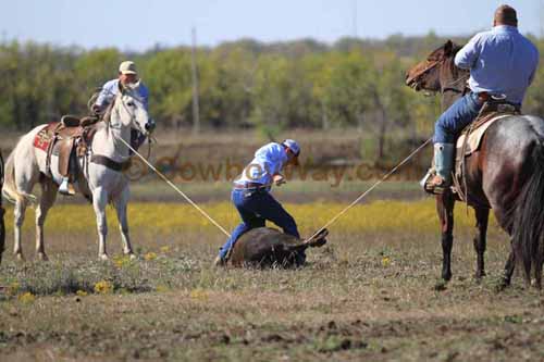 Chops Pasture Roping, 10-04-12 - Photo 52