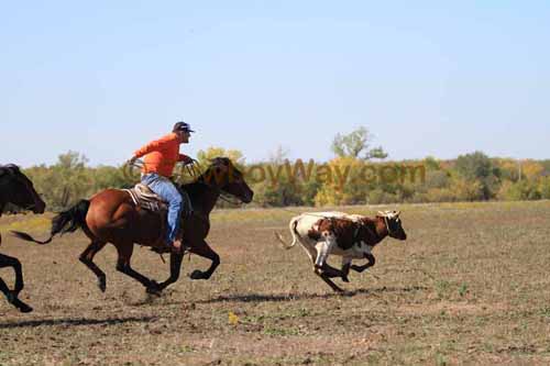 Chops Pasture Roping, 10-04-12 - Photo 54