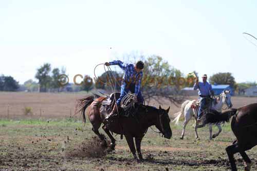 Chops Pasture Roping, 10-04-12 - Photo 56