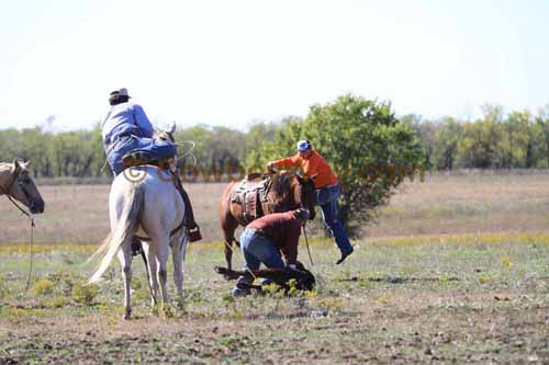 Chops Pasture Roping, 10-04-12 - Photo 59