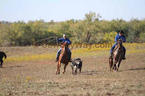 Chops Pasture Roping, 10-04-12 - Photo 62