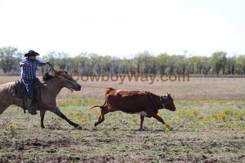 Chops Pasture Roping, 10-04-12 - Photo 64