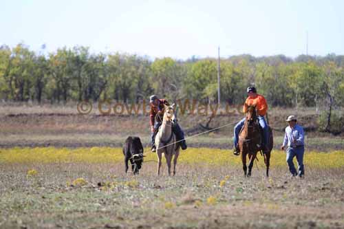 Chops Pasture Roping, 10-04-12 - Photo 66