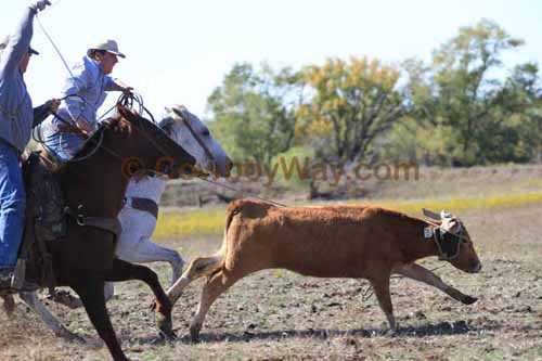 Chops Pasture Roping, 10-04-12 - Photo 67