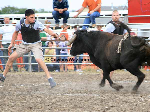 Circle Of Fear contestant sticks his tongue out at a bull