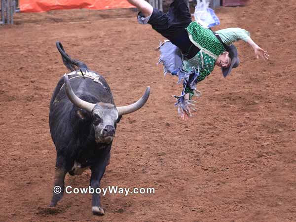 A rodeo bullfighter gets thrown upside down in the air by a bull