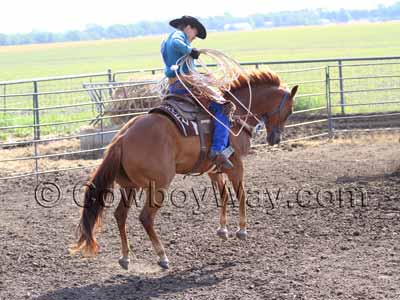 A horse crow hopping