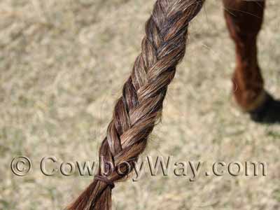 A completed fishtail braid in a horse's tail