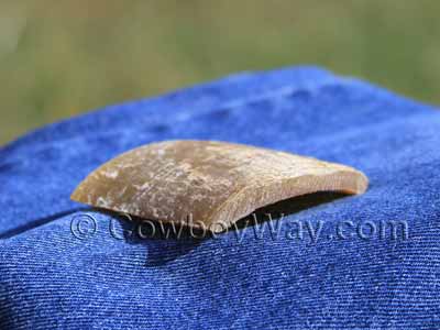 Flattened cow horn