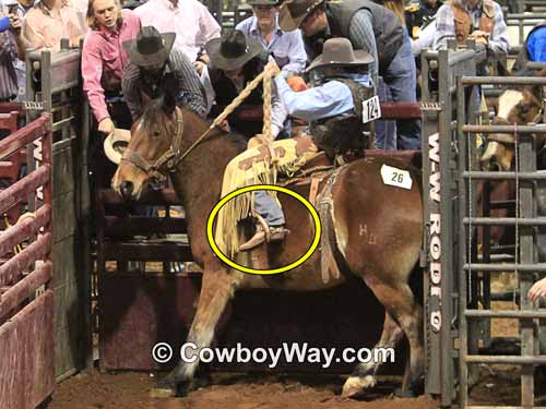 The mark out rule is waived for this bronc rider