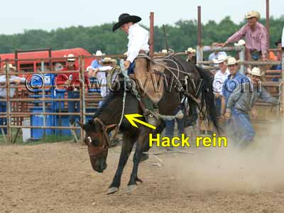 A hack rein