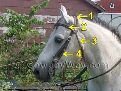 Headstalls for sale Parts of a horse headstall