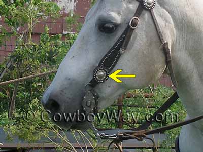 Chicago scews for sale A horse headstall with Chicago screws
