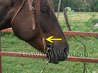 This headstall uses leather strings to attach a bit