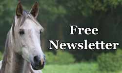 Pony Express rider for the CowboyWay newsletter