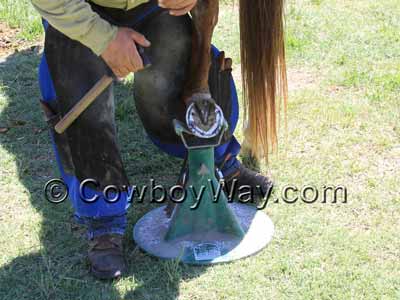 GERIATRIC HOOFJACK Equine Innovations Farrier Hoof Stand jack horse PURPLE 