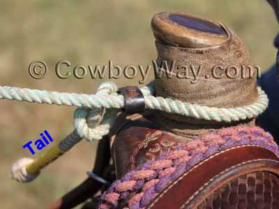 A horn knot on a saddle