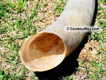 Keratin sheath from a cow horn