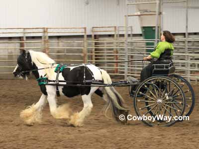 Horse drawn cart