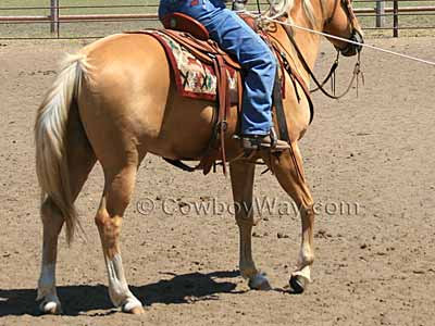 Horse colors: Palomino