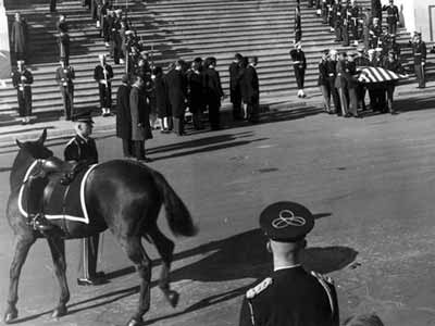 Black Jack the horse and the coffin of JFK