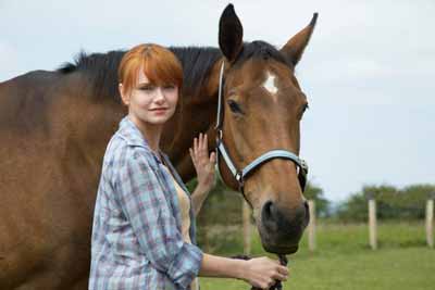 A horse and rider