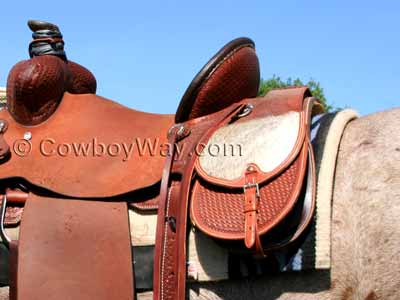 A horse with saddle bags