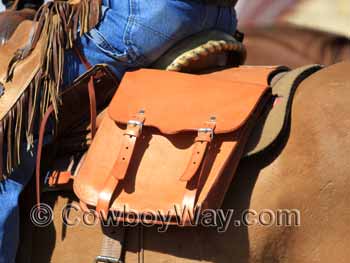 Cantle saddle bags on a horse
