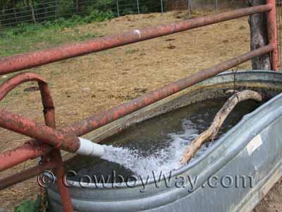 A varmint pole in a stock tank