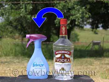 Horse tips for horse lovers