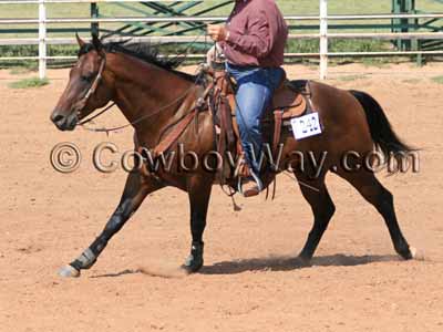 A horse on the outside lead