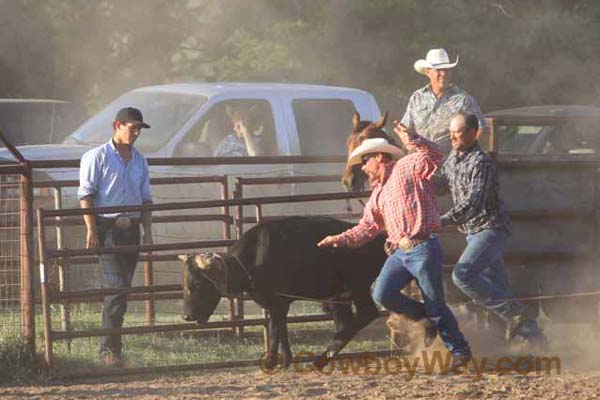 Ranch Rodeo, 06-19-10 - Photo 11